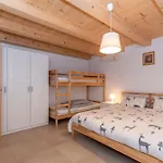 Ciasa Al Caselo Daire Falcade